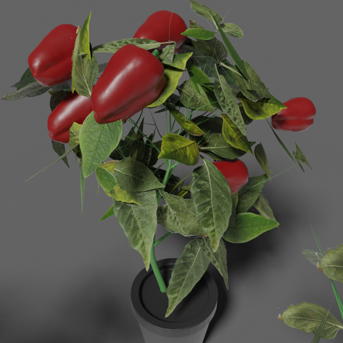 Synthetic pepper dataset generator preview image